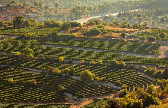 Galilee & Golan