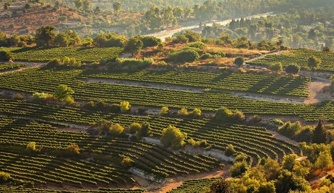 Galilee & Golan