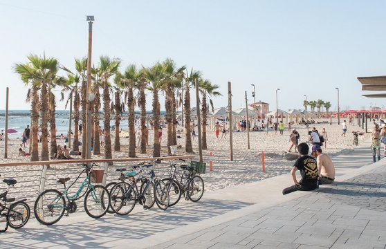 Volunteering in Israel