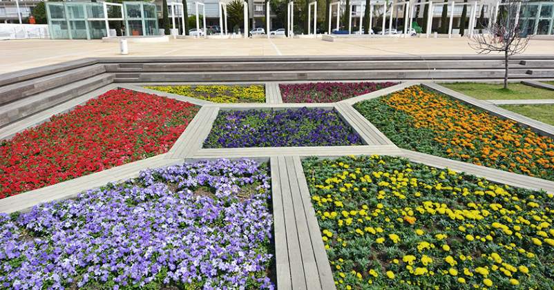 SPRING IN TEL AVIV